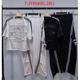 Костюм жіночий T2195 mix р.XL-2XL "Saint Wish" недорого оптом від прямого постачальника