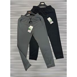 Штани спортивні чоловічі F978 grey р.L-4XL "F.T.H" недорого оптом від прямого постачальника