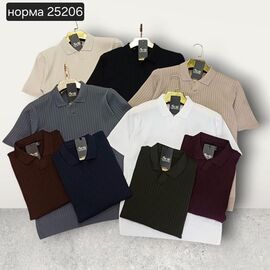 Футболка чоловіча 25206 white р.M-2XL "Moranny" недорого оптом від прямого постачальника