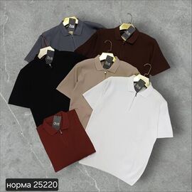 Футболка чоловіча 25220 wine р.M-2XL "Moranny" недорого оптом від прямого постачальника