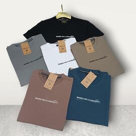 Футболка чоловіча MR1102 mint р.S-2XL "Moranny" недорого оптом від прямого постачальника