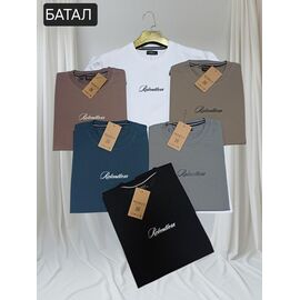 Футболка чоловіча MR1111 mint р.2XL-6XL "Moranny" недорого оптом від прямого постачальника