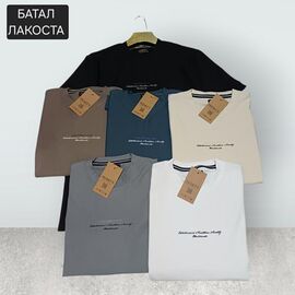 Футболка чоловіча MR1116 beige р.2XL-6XL "Moranny" недорого оптом від прямого постачальника