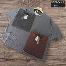 Фотография Футболка мужская MR848 brown р.2XL-5XL "Moranny" недорого оптом от прямого поставщика