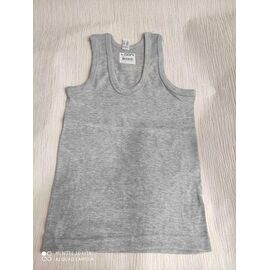 Фотография Майка детская на мальчика DS246 grey р.6-7 "Disneyopt kids" недорого оптом от прямого поставщика