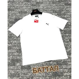 Футболка чоловіча F1138 white р.3XL-4XL "F.T.H" недорого оптом від прямого постачальника