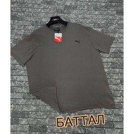 Футболка чоловіча F1139 grey р.3XL-4XL "F.T.H" недорого оптом від прямого постачальника