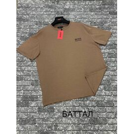 Футболка чоловіча F1151 camel р.3XL-4XL "F.T.H" недорого оптом від прямого постачальника