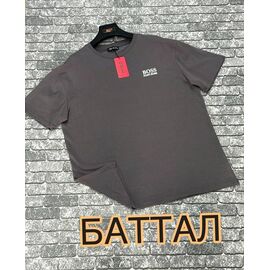 Футболка чоловіча F1152 grey р.3XL-4XL "F.T.H" недорого оптом від прямого постачальника