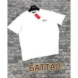 Футболка чоловіча F1153 white р.3XL-4XL "F.T.H" недорого оптом від прямого постачальника