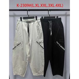 Штани спортивні жіночі K2309 l.beige р.L-4XL "Saint Wish" недорого оптом від прямого постачальника