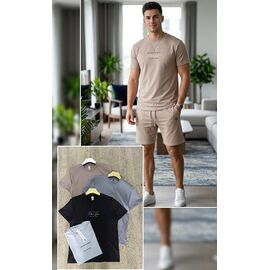 Футболка чоловіча MR1046 beige р.S-2XL "Moranny" недорого оптом від прямого постачальника