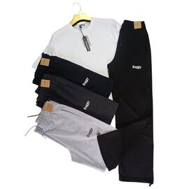 Штани спортивні чоловічі MR1089 l.grey р.S-2XL "Moranny" недорого оптом від прямого постачальника