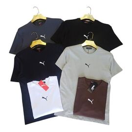 Футболка чоловіча MR1138 brown р.S-2XL "Moranny" недорого оптом від прямого постачальника