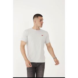 Футболка чоловіча F1243 l.grey р.S-2XL "F.T.H" недорого оптом від прямого постачальника