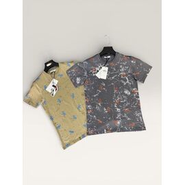 Футболка чоловіча F1250 grey р.S-2XL "F.T.H" недорого оптом від прямого постачальника