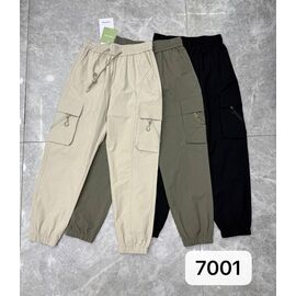 Штани чоловічі утеплені 7001 black р.31-36 "F.T.H" недорого оптом від прямого постачальника