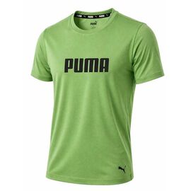 Фотография Футболка мужская 14273 green р.S-2XL "Alex Clothes" недорого оптом от прямого поставщика