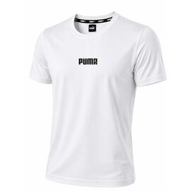 Фотография Футболка мужская 14274 white р.S-2XL "Alex Clothes" недорого оптом от прямого поставщика