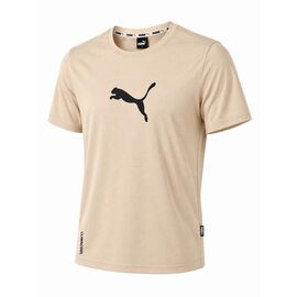 Фотография Футболка мужская 14296 beige р.S-2XL "Alex Clothes" недорого оптом от прямого поставщика