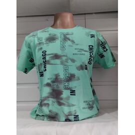 Футболка чоловіча 1818 mint р.S-2XL "RING" недорого оптом від прямого постачальника