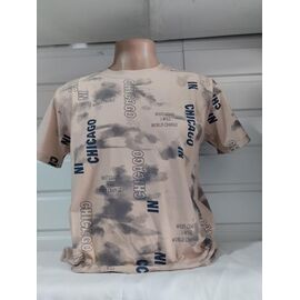 Футболка чоловіча 1819 beige р.S-2XL "RING" недорого оптом від прямого постачальника