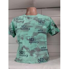 Фотография Футболка мужская 1831 mint р.S-2XL "RING" недорого оптом от прямого поставщика