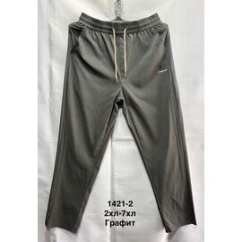 Штани спортивні чоловічі 1412-2 grey р.2XL-7XL "WELL" недорого оптом від прямого постачальника