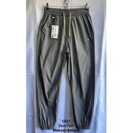 Штани спортивні чоловічі 1421 grey р.48-58 "WELL" недорого оптом від прямого постачальника