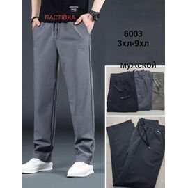 Штани спортивні чоловічі 6003 mix р.48-58 "WELL" недорого оптом від прямого постачальника