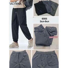 Штани спортивні чоловічі 6005 mix р.48-58 "WELL" недорого оптом від прямого постачальника