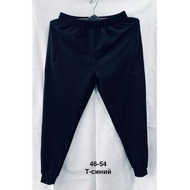 Штани спортивні чоловічі MH703 navy р.46-54 "WELL" недорого оптом від прямого постачальника