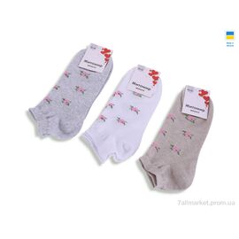 Фотография Носки женские Весна/осень T364 mix (12 шт. р.сетка 36-41) "Textile" недорого оптом от прямого поставщика