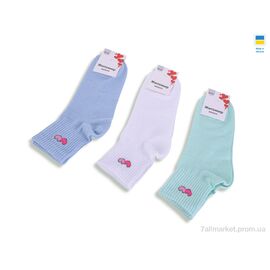 Фотография Носки женские Весна/осень T368 mix (12 шт. р.сетка 36-41) "Textile" недорого оптом от прямого поставщика