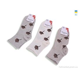 Фотография Носки женские Весна/осень T369 mix (12 шт. р.сетка 36-41) "Textile" недорого оптом от прямого поставщика