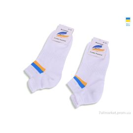Фотография Носки женские Весна/осень T370 white (12 шт. р.сетка 36-40) "Textile" недорого оптом от прямого поставщика