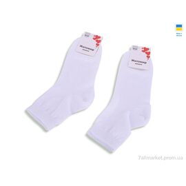Фотография Носки женские Весна/осень T371 white (12 шт. р.сетка 36-41) "Textile" недорого оптом от прямого поставщика