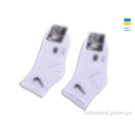 Фотография Носки женские Весна/осень T372 white (12 шт. р.сетка 36-40) "Textile" недорого оптом от прямого поставщика