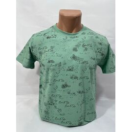 Футболка чоловіча SB1951 mint р.M-2XL "Sabihina" недорого оптом від прямого постачальника