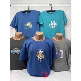 Футболка чоловіча SB1971-2 blue р.XL-3XL "Sabihina" недорого оптом від прямого постачальника