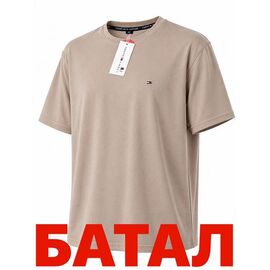 Фотография Футболка мужская 14331 beige р.2XL-6XL "Alex Clothes" недорого оптом от прямого поставщика
