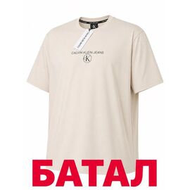 Фотография Футболка мужская 14339 beige р.2XL-6XL "Alex Clothes" недорого оптом от прямого поставщика
