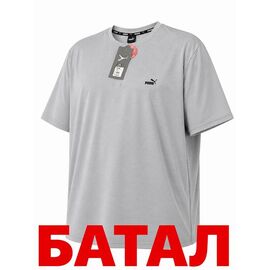 Фотография Футболка мужская 14342 grey р.2XL-6XL "Alex Clothes" недорого оптом от прямого поставщика