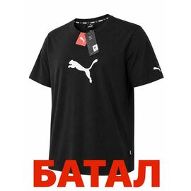 Фотография Футболка мужская 14349 black р.2XL-6XL "Alex Clothes" недорого оптом от прямого поставщика