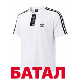 Фотография Футболка мужская 14352 white р.2XL-6XL "Alex Clothes" недорого оптом от прямого поставщика