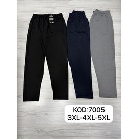 Штани спортивні чоловічі 7005 grey р.3XL-5XL "ROLADA" недорого оптом від прямого постачальника