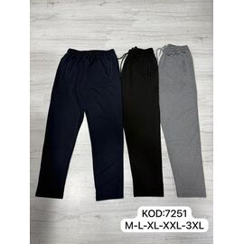 Штани спортивні чоловічі 7251-1 black р.M-3XL "ROLADA" недорого оптом від прямого постачальника