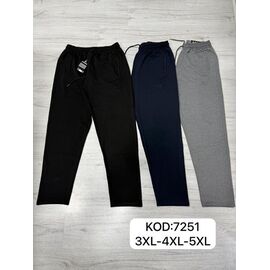 Штани спортивні чоловічі 7251 grey р.3XL-5XL "ROLADA" недорого оптом від прямого постачальника