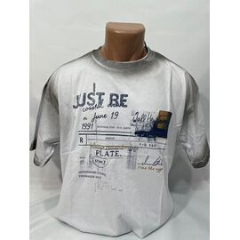 Футболка чоловіча SB2012 white р.S-2XL "Sabihina" недорого оптом від прямого постачальника