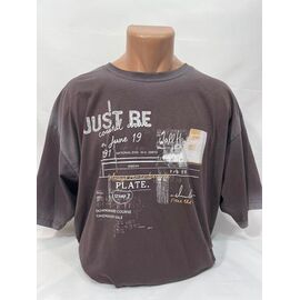 Футболка чоловіча SB2013 brown р.S-2XL "Sabihina" недорого оптом від прямого постачальника